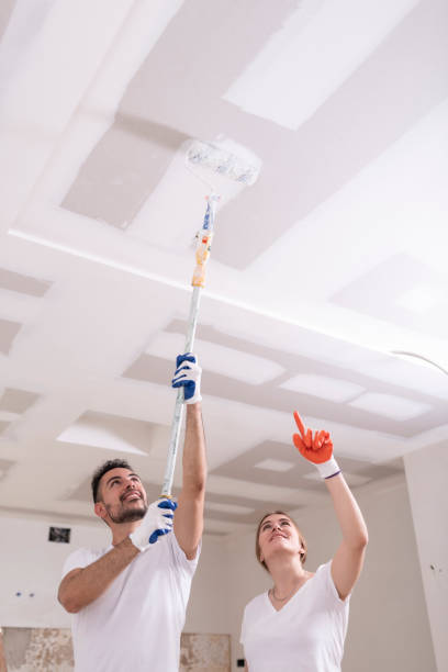 Best Ceiling Drywall Installation  in Cross Lanes, WV